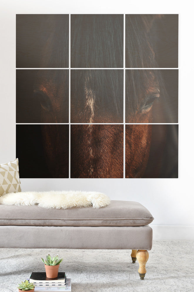 Deny Designs Ingrid Beddoes Apache Wood Wall Mural, 4'x4'