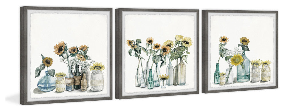 Sunflower Collection Triptych, Set of 3, 12x12 Panels