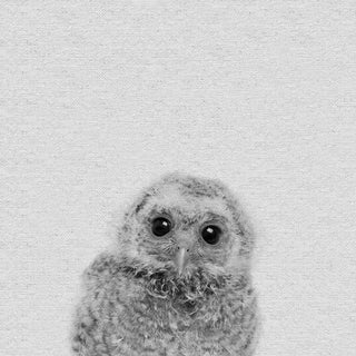 "Those Big Eyes II" Painting Print, Wrapped Canvas, 48"x48"