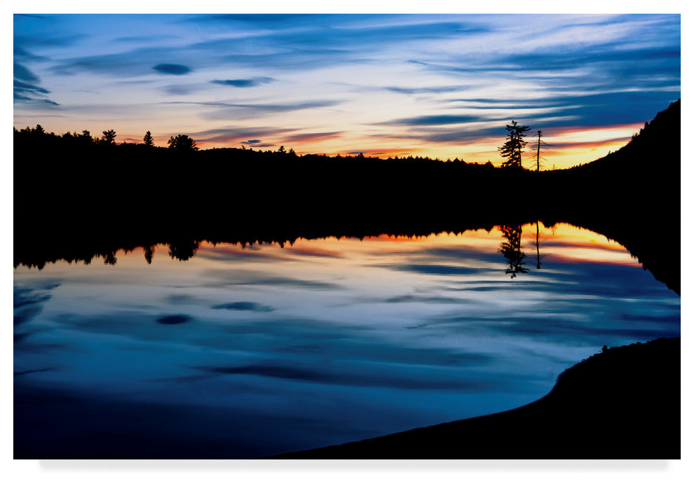 Anthony Paladino ''Silhouetted Landscape'' Canvas Art