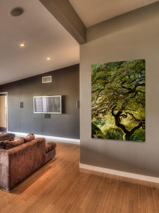 "Magical Tree" Painting Print on Canvas