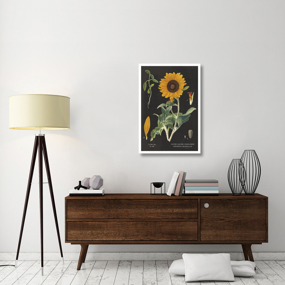 "Sunflower Chart" Digital Paper Print by Sue Schlabach, 26"x38"