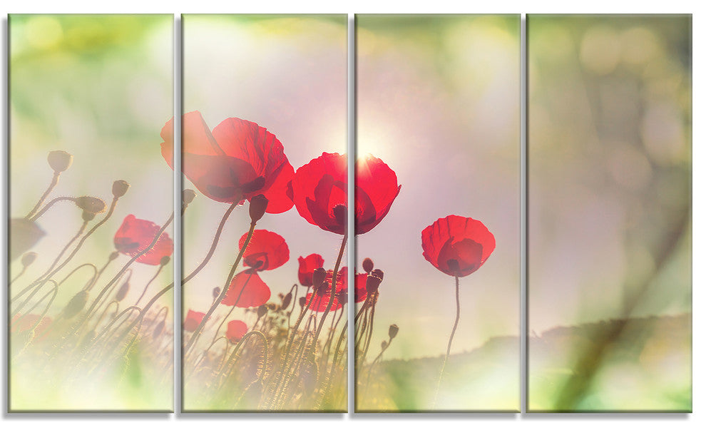 Wild Red Poppy Flowers, Floral Canvas Art Print, 48"x28", 4 Panels