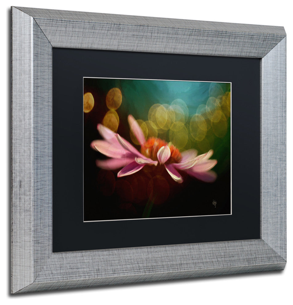 Bryan ''The Secret World of Coneflowers'' Art, Silver Frame, Black Matte, 14"x11"
