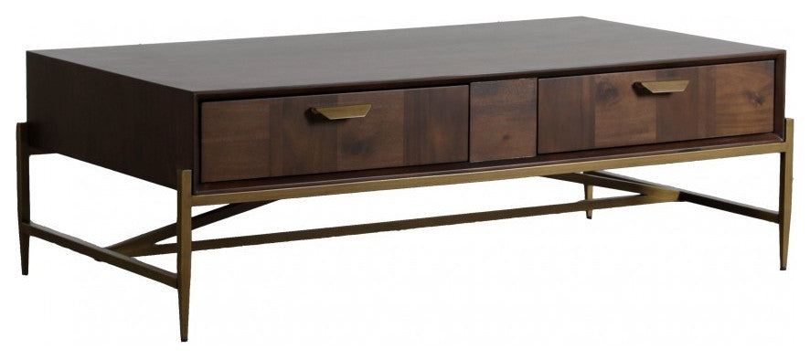Modern Dark Mango Acacia and Brass Coffee Table