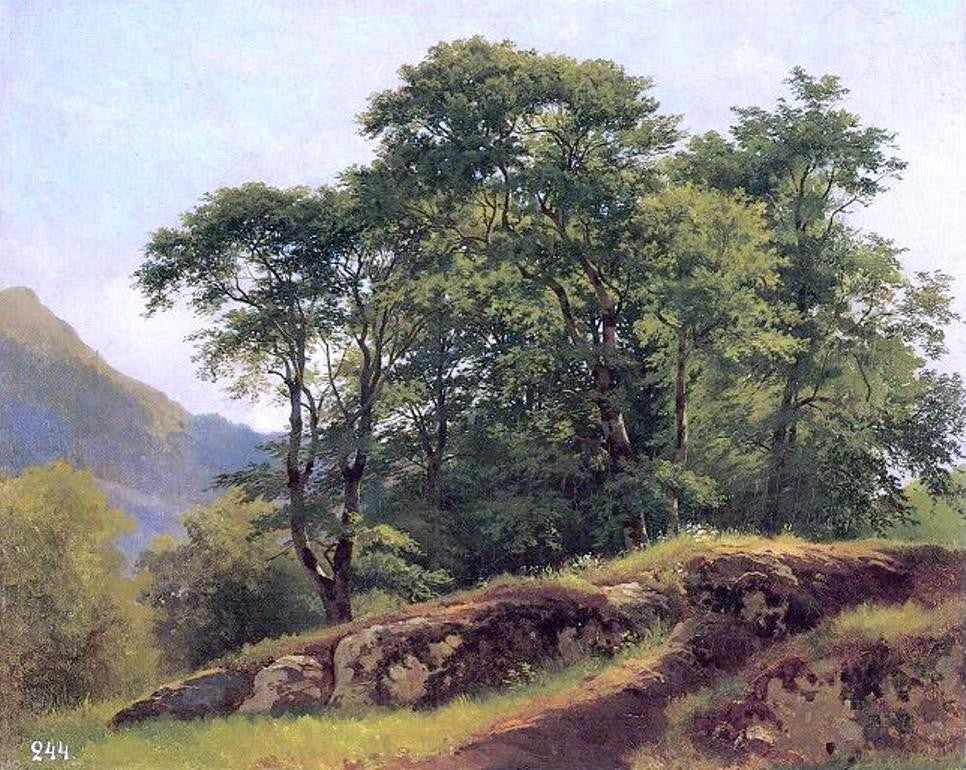 Ivan Ivanovich Shishkin Beech Forest in Switzerland Wall Decal
