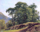 Ivan Ivanovich Shishkin Beech Forest in Switzerland Wall Decal