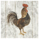 "Farm Friend III on Barn Board" Digital Paper Print by Albena Hristova, 42"x42"