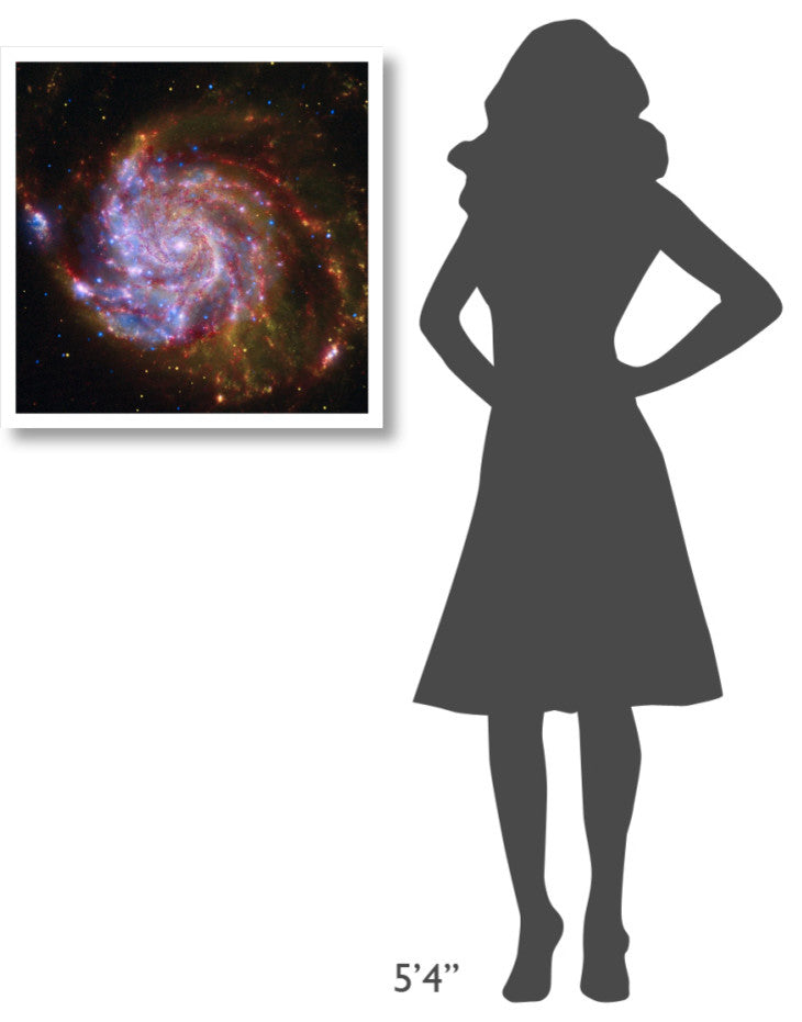 "Spitzer-Hubble-Chandra Composite of M101" Digital Paper Print by NASA, 26"x26"