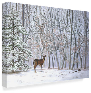 "Big Buck     " by D. Rusty Rust, Canvas Art