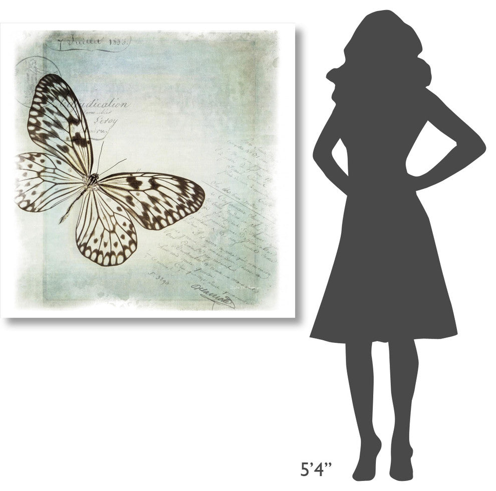 "Floating Butterfly IV" Digital Paper Print by Debra Van Swearingen, 42"x42"