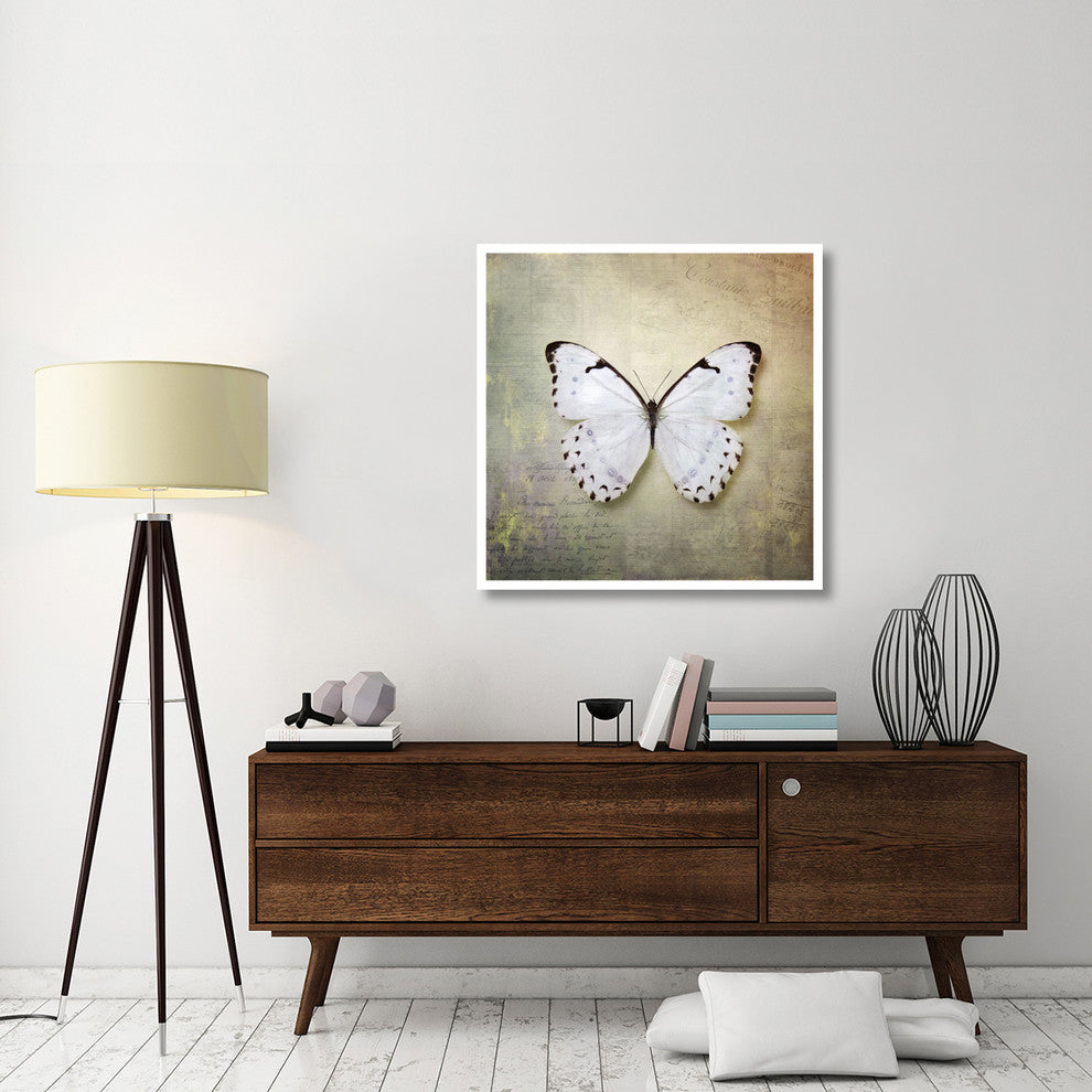 "French Butterfly II" Digital Paper Print by Debra Van Swearingen, 38"x38"