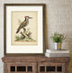 "Edwards Woodpecker" Gallery Collection Framed Art, 16"x20"