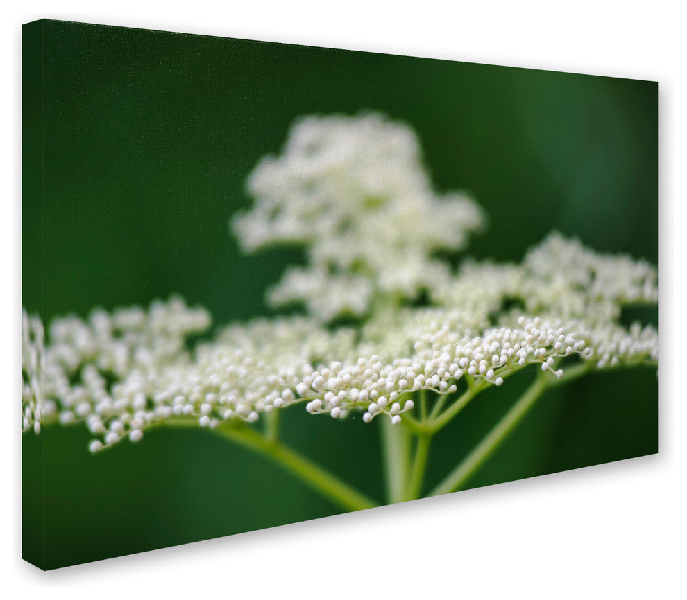 Kurt Shaffer 'Nature is Amazing' Canvas Art, 47"x30"