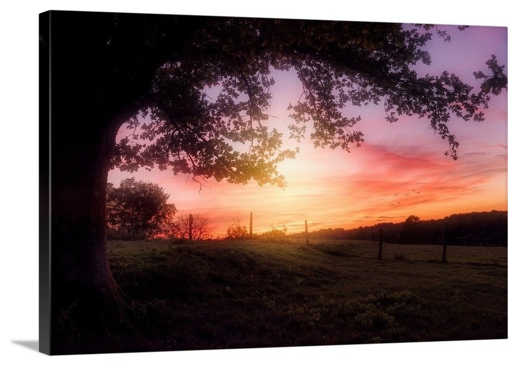 "Lazy Birds" Wrapped Canvas Art Print, 48"x32"x1.5"