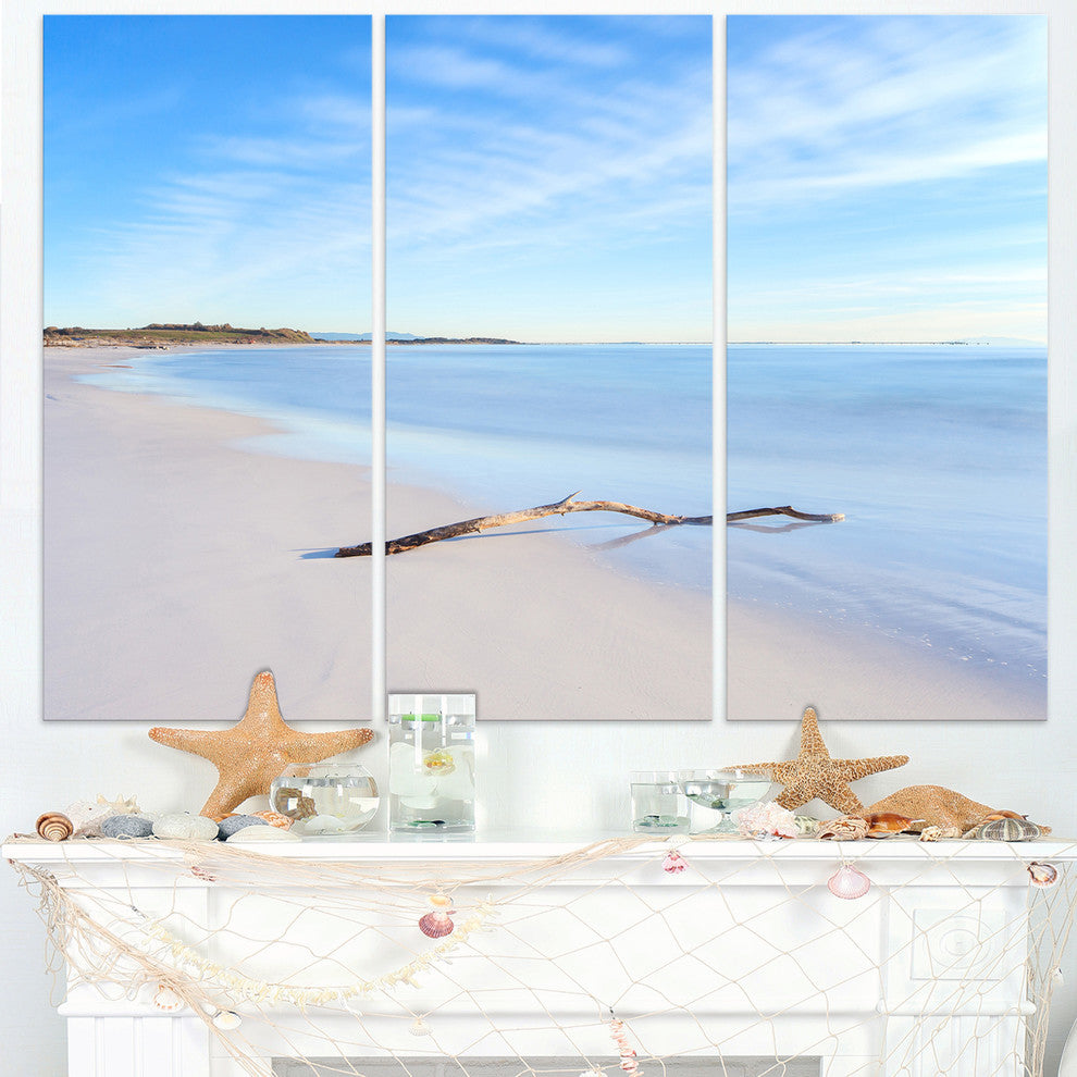 "Wood Branch on White Beach" Metal Wall Art, 3 Panels, 36"x28"