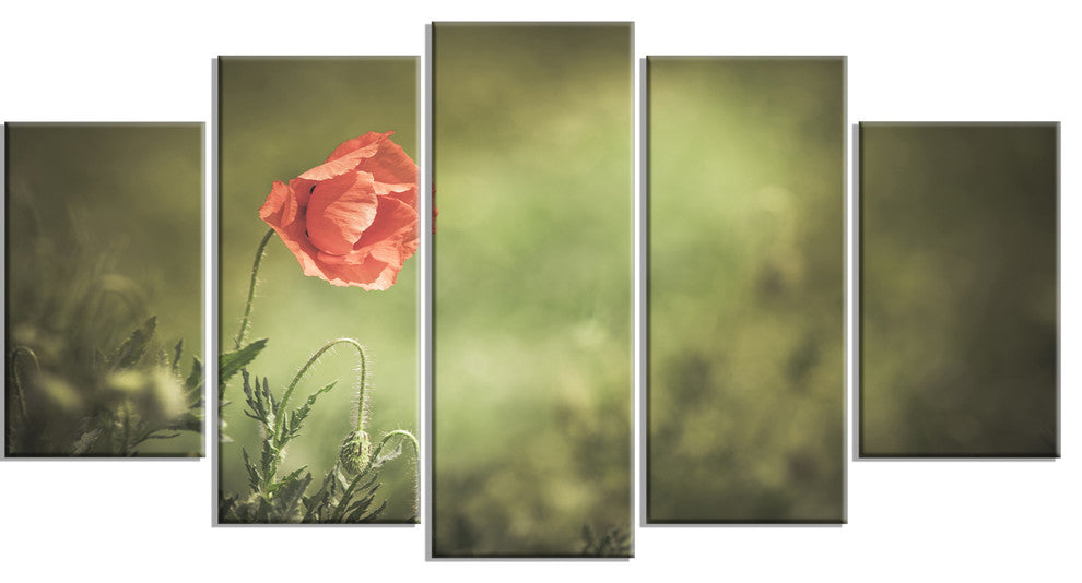 Red Wild Poppy Flower on Green, Floral Canvas Art Print, 60"x32", 5 Panels