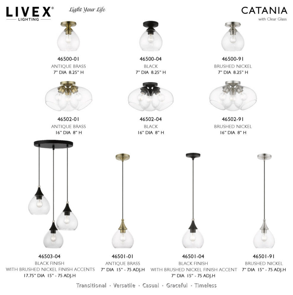 Catania 1 Light Black With Brushed Nickel Accents Mini Pendant