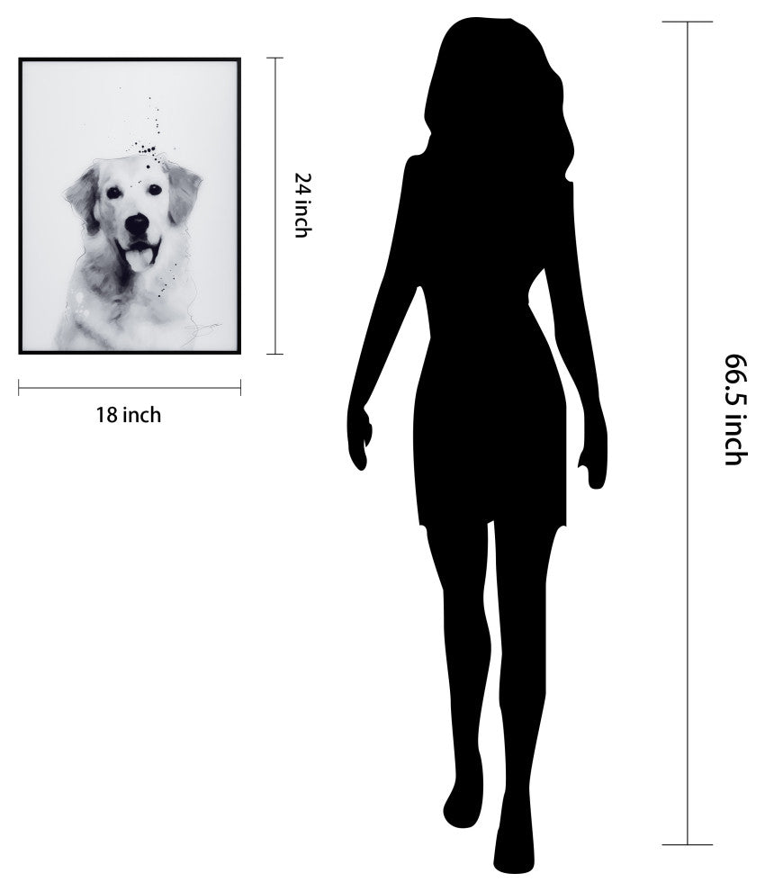 "Golden Retriever" Black and White Pet Art on Printed Glass with Anodized Frame
