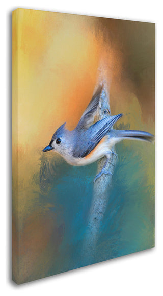 Jai Johnson 'In A Flash Tufted Titmouse' Canvas Art, 19 x 12