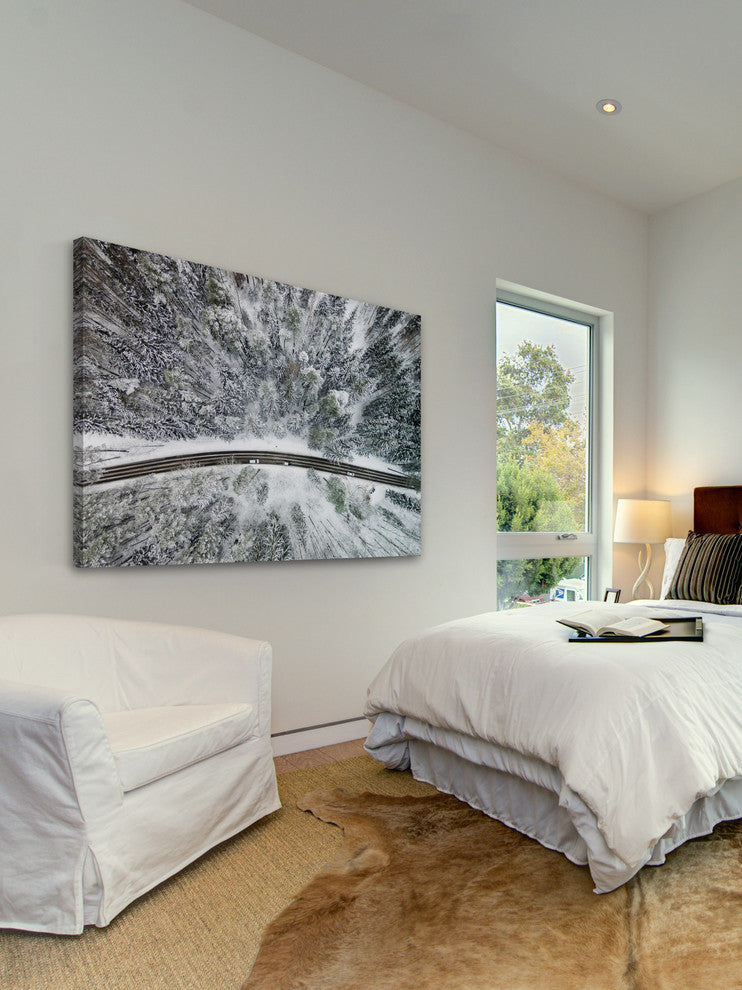 "Icy Firs" Print on Canvas by Karolis Janulis