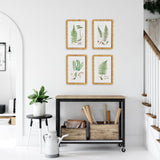 Forest Fern Prints
