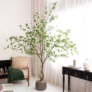 Lifestyle scene showing the plant in a real room setting.