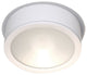 WAC Lighting Tube 12" Indoor or Outdoor LED Flush Mount, White