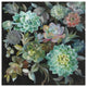 "Floral Succulents" Digital Paper Print by Danhui Nai, 38"x38"