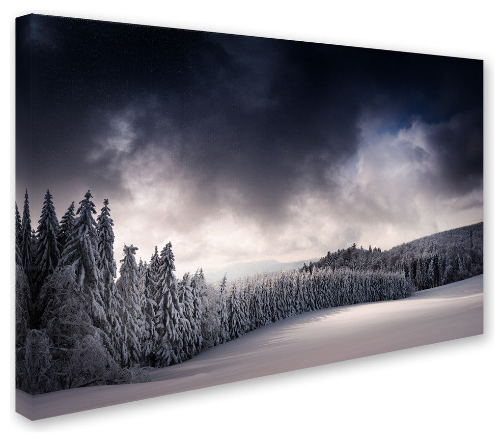 Philippe Sainte-Laudy ''Blowin'' In The Wind'' Canvas Art, 16x24