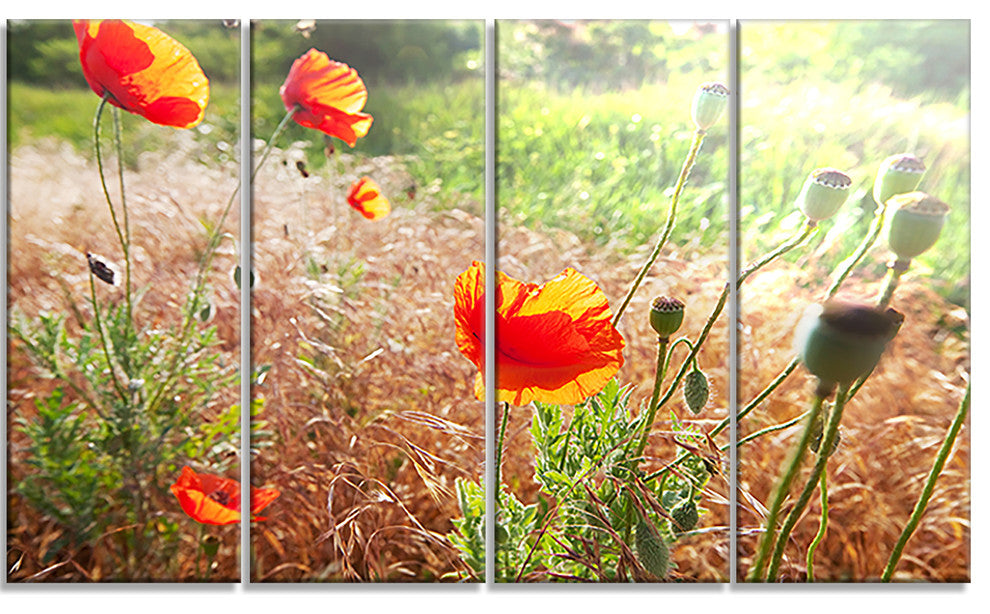 Beautiful Morning View of Poppies, Floral Canvas Art Print, 48"x28", 4 Panels