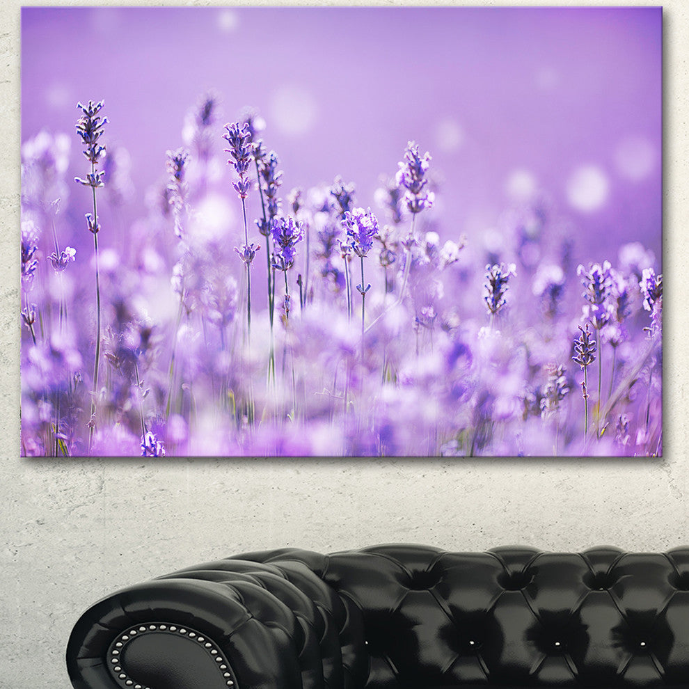 Stunning Purple Lavender Field, Landscape Canvas Art Print, 40"x30"