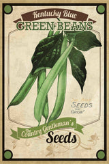 "Seed Packet Greenbeans" Painting Print on Canvas