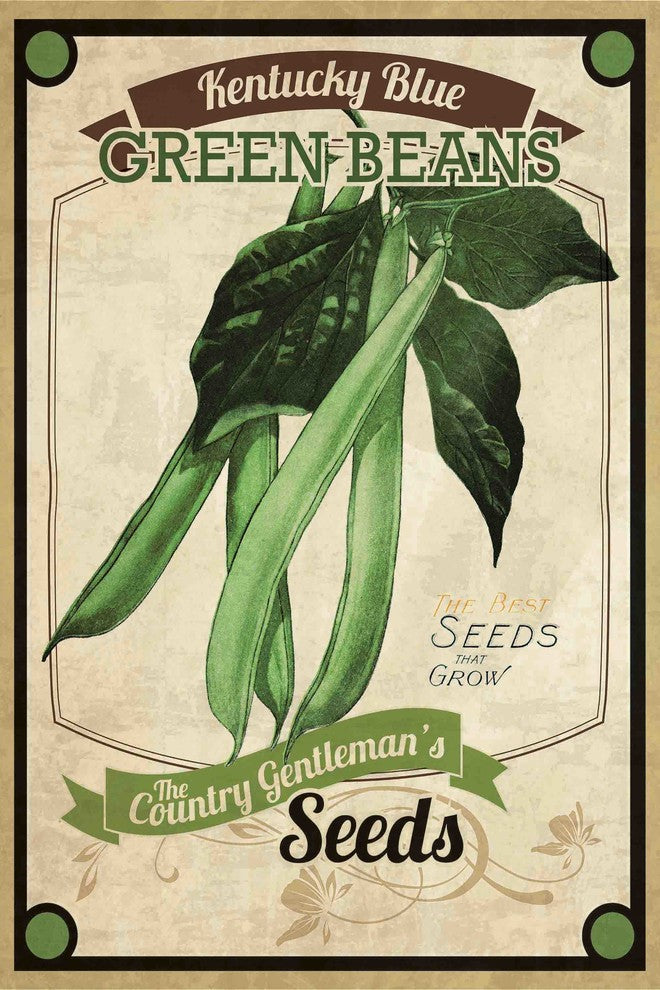 "Seed Packet Greenbeans" Painting Print on Canvas