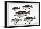 "Black and White Fish" Framed Painting Print, 45"x30"