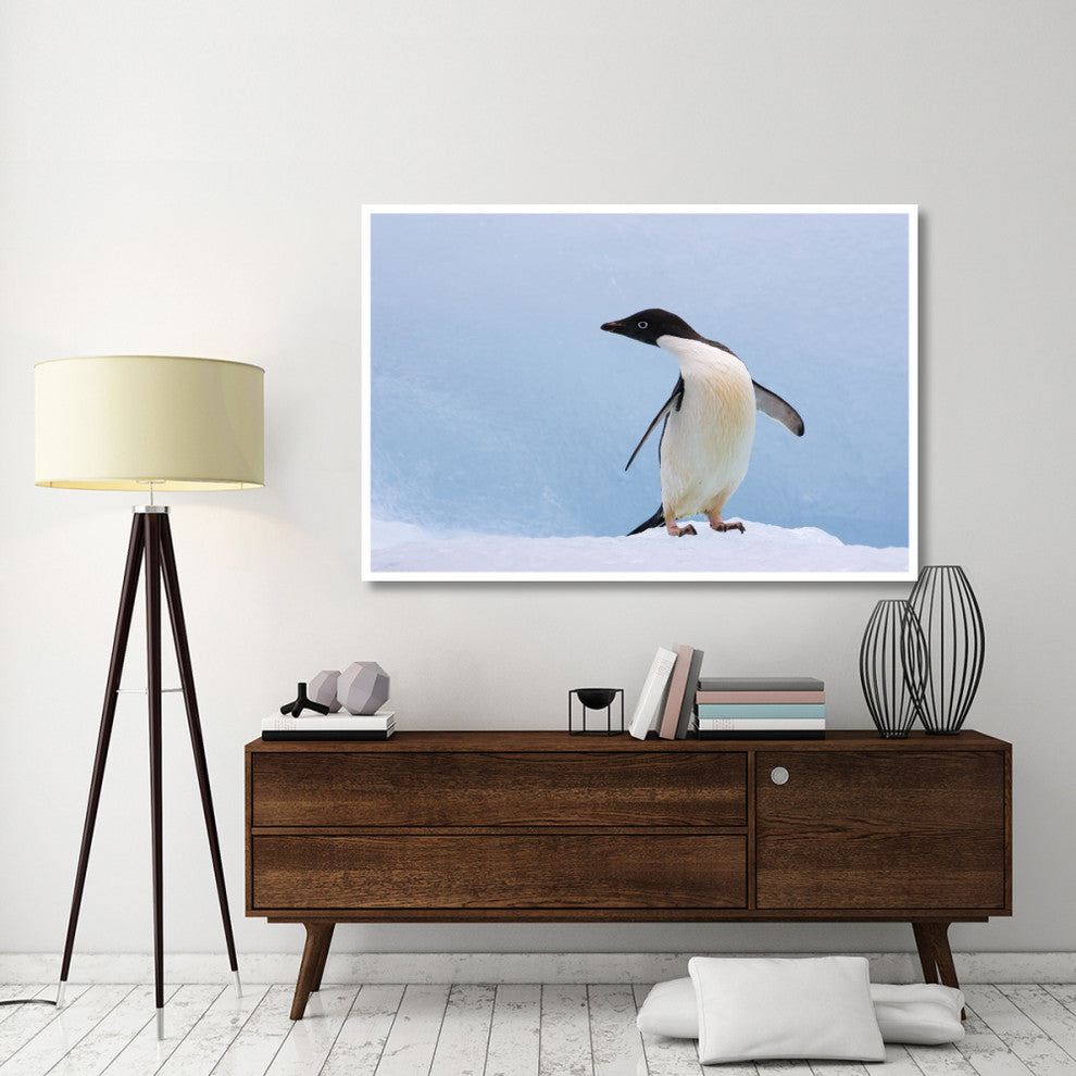 "Adelie Penguin on iceberg, looking left, Paulet Island" Paper Art, 62"x42"