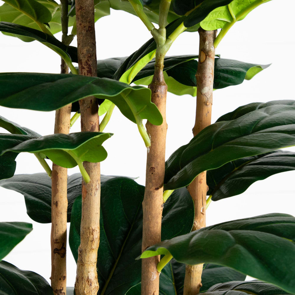 Close-up of leaves and stems on white background.