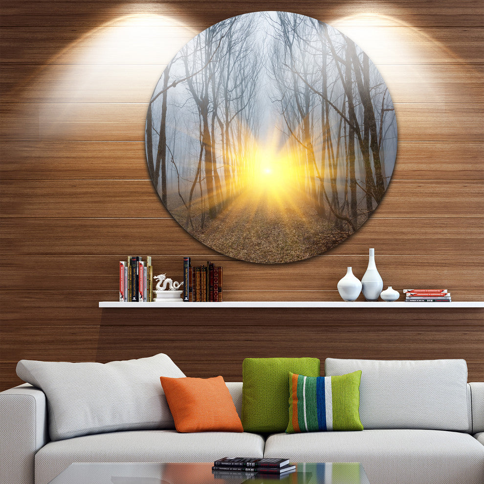 Yellow Sun Rays In Misty Forest, Landscape Disc Metal Wall Art, 36"