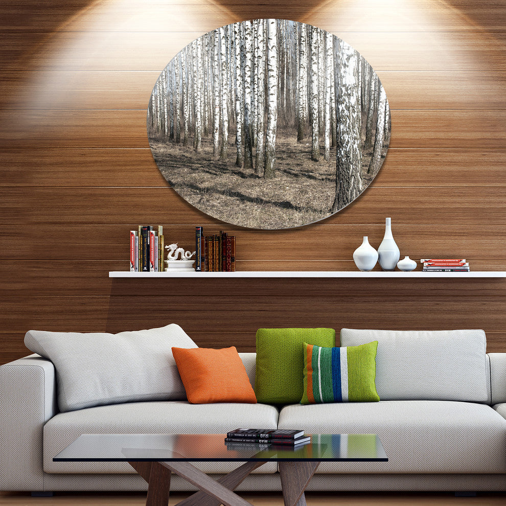 Beautiful Dense Birch Forest View, Modern Forest Round Wall Art, 23"