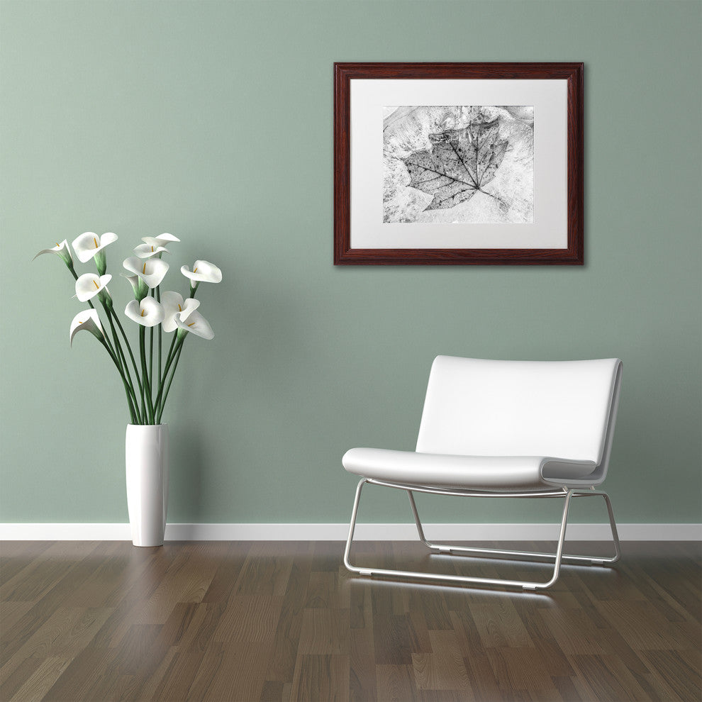 Jason Shaffer 'Encased in Ice' Matted Framed Art, Wood Frame, White Mat, 14x11