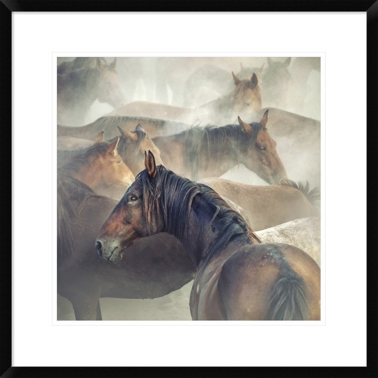 "Tired Horses" Framed Digital Print by Huseyin Taskin, 26"x26"