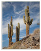 Desert Sentinel Photograph Wall Plaque Art, 10x15