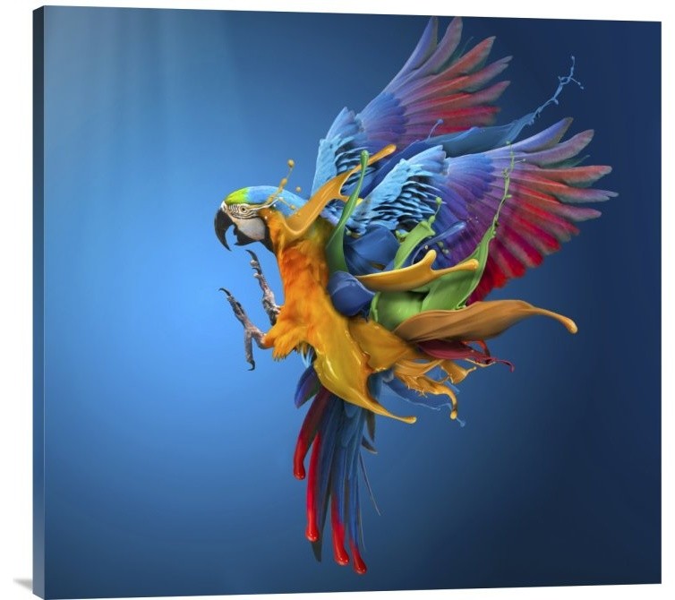 "Flying Colours" Stretched Canvas Giclee by Sulaiman Almawash, 30"x28"