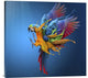 "Flying Colours" Stretched Canvas Giclee by Sulaiman Almawash, 30"x28"