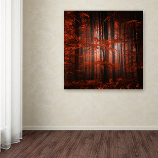 'Red Parallel Universe' Canvas Art by Philippe Sainte-Laudy