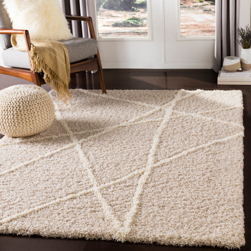 Surya Urban Shag USG-2301 7'10"x10'2" Rug, Beige/Cream