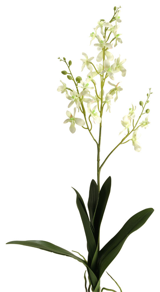 30.5" Dendrobium Orchid, Set of 3, White