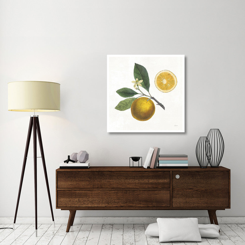 "Classic Citrus II" Digital Paper Print by Sue Schlabach, 38"x38"