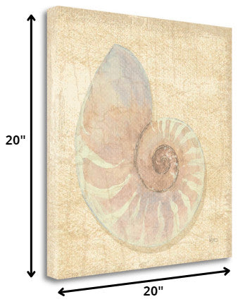 20" Soft Pastel Seashell Giclee Wrap Canvas Wall Art