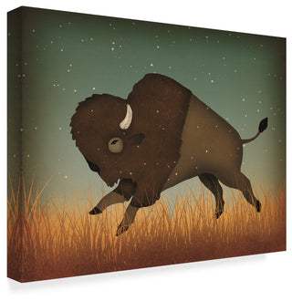 Ryan Fowler 'Buffalo Bison II' Canvas Art